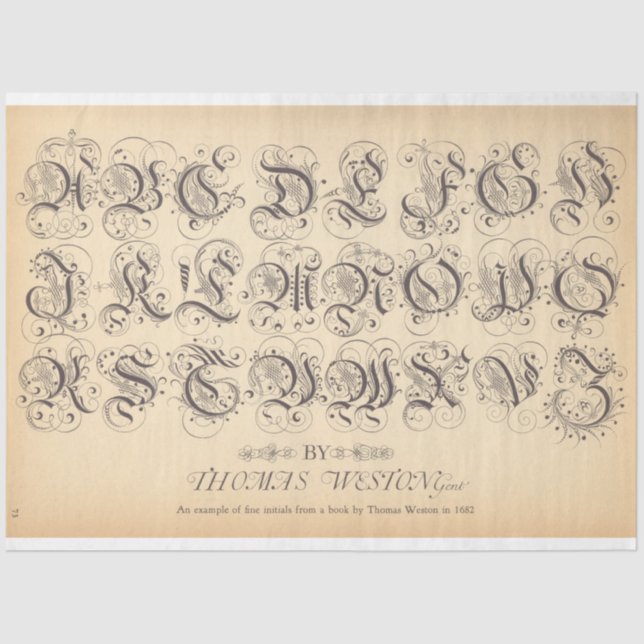 Papier Mousseline Papier de découpage Rollerball (Recto)