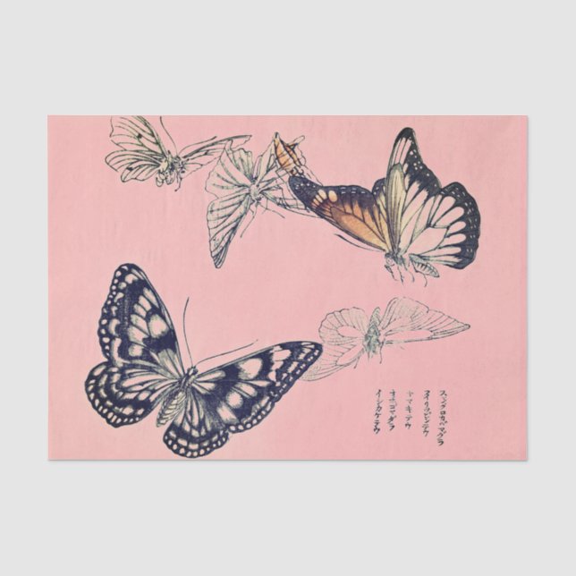 Papier Mousseline Papier de fond BUTERFLY (Recto)