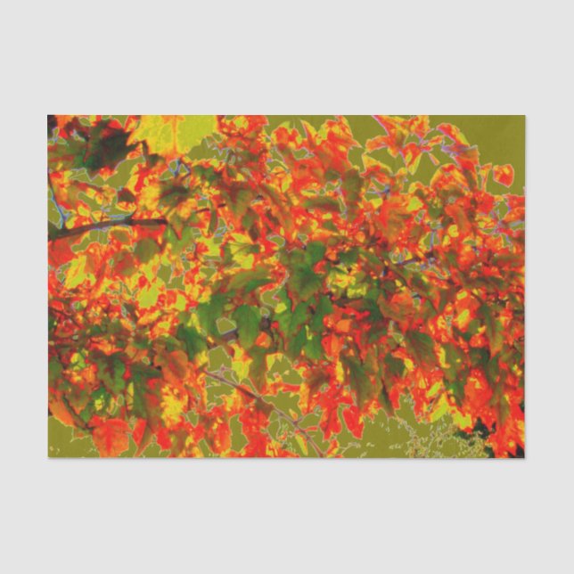 Papier Mousseline Papier de fond 'Feu d'automne' (Recto)