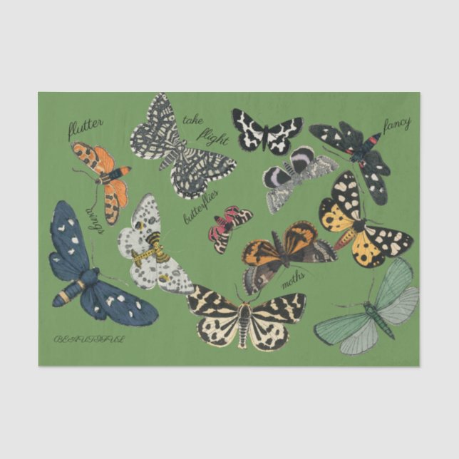 Papier Mousseline papier de papier de 18 livres vert papillon (Recto)