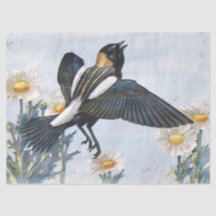 Papier de papier de découpage pour oiseaux Bobolin