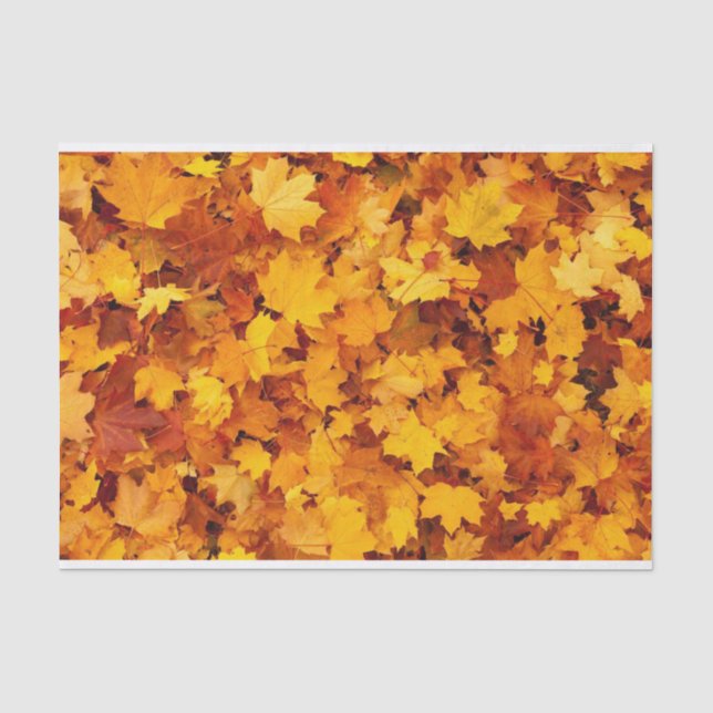 Papier Mousseline papier de papier de feuilles d'automne (Recto)