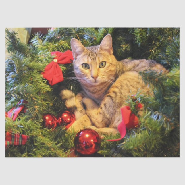 Papier Mousseline papier de tissu de chat d'arbre de noël (Recto)