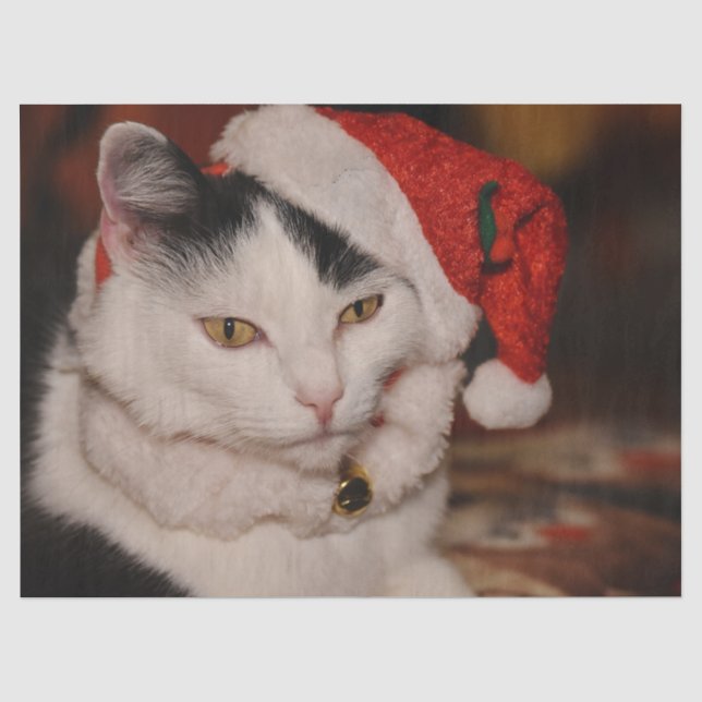 Papier Mousseline Papier de tissu de chat Noël (Recto)