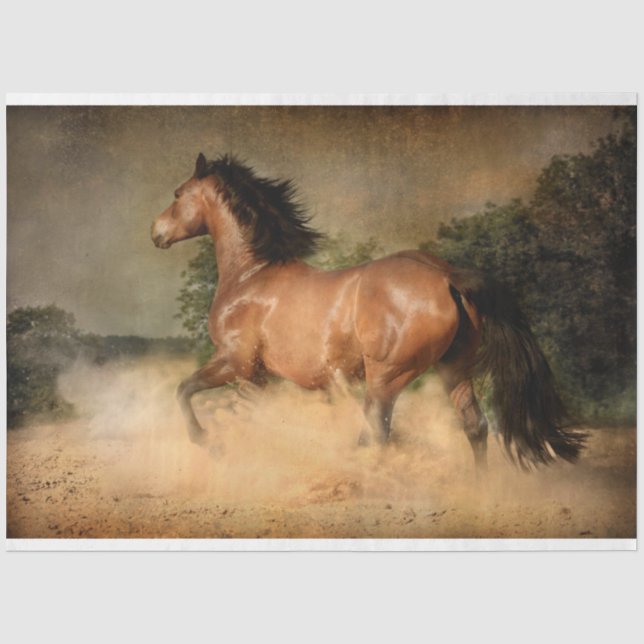 Papier Mousseline papier de tissu de cheval sauvage (Recto)