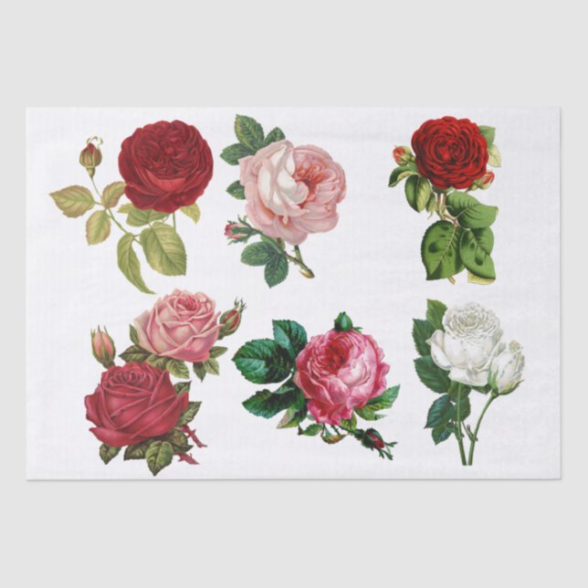 PAPIER MOUSSELINE PAPIER DE TISSU DE DÉCOUPAGE : ROSE (Recto)