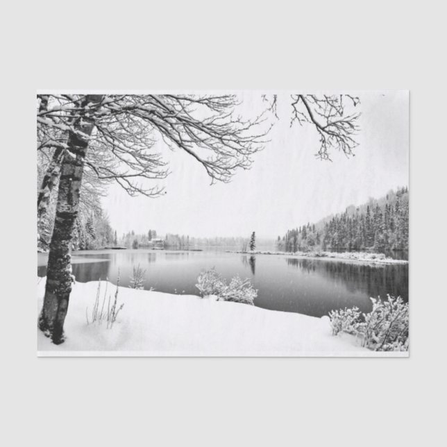 Papier Mousseline papier de tissu de paysage hivernal (Recto)