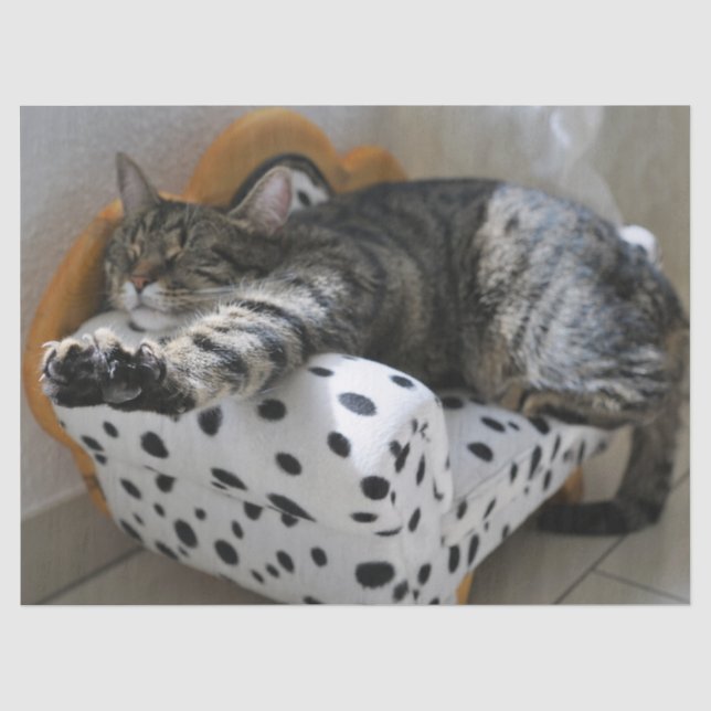 Papier Mousseline papier de tissu du chat (Recto)
