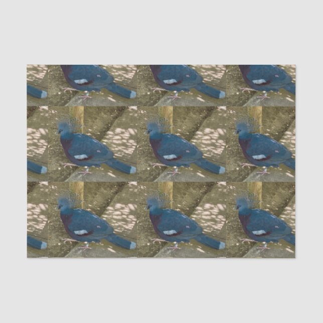 Papier Mousseline Papier de tissu Oiseau bleu (Recto)