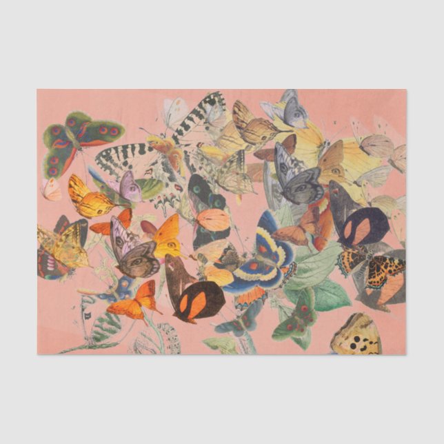 Papier Mousseline Papier de tissus BUTTERFER (Recto)