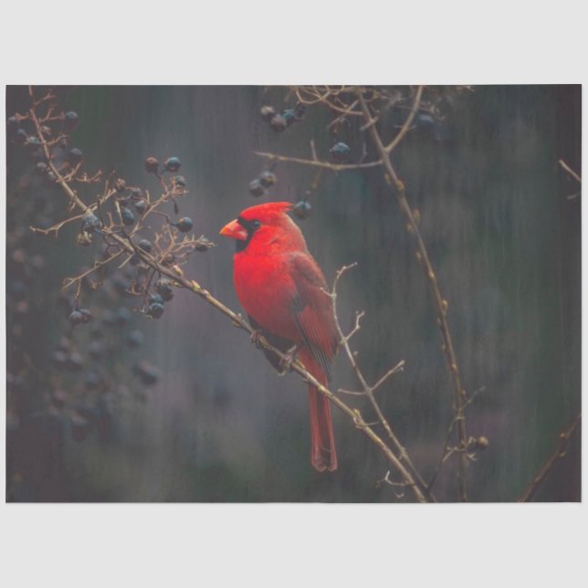 Papier Mousseline Papier de tissus cardinal (Recto)