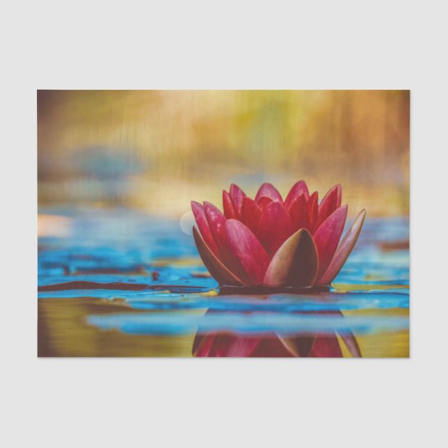 Papier Mousseline Papier de tissus flottants Lotus rouges (Recto)