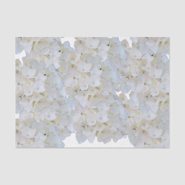 Papier Mousseline Papier de tissus Hydrangées blanches (Recto)