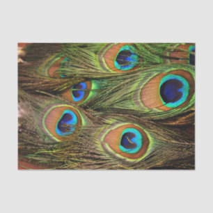 Papier Mousseline Papier de tissus Peacock Feathers