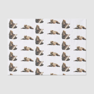 Papier Mousseline papier de tissus pour ours grizzli