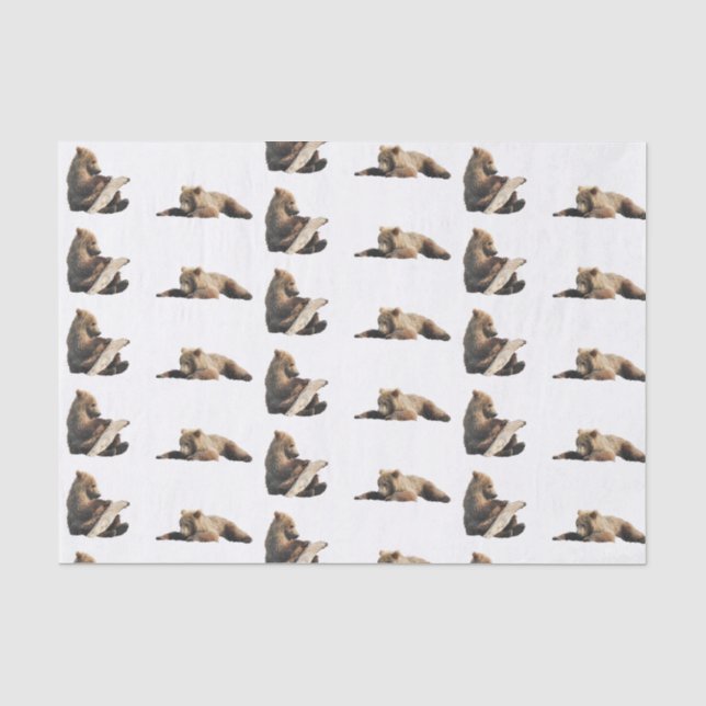 Papier Mousseline papier de tissus pour ours grizzli (Recto)