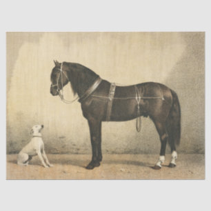 Papier Mousseline Papier de triche ou de découpage pour le cheval et