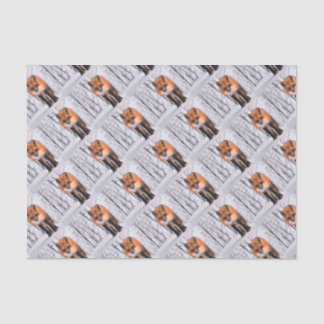 Papier Mousseline papier d'emballage de renard d'hiver, enveloppe de