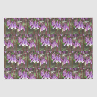 Papier Mousseline Papier d'enveloppement de fleurs d'Aquilegia viole