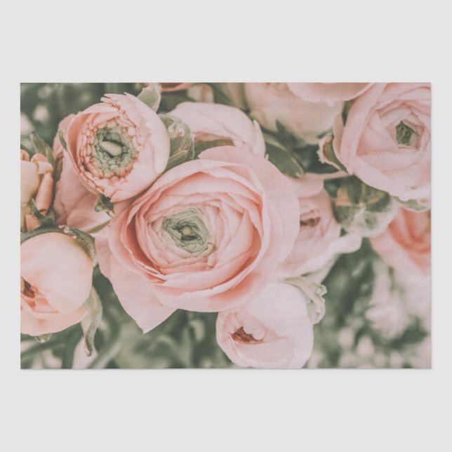 PAPIER MOUSSELINE PAPIER MOUSSELINE: PEONIES ROSES (Recto)