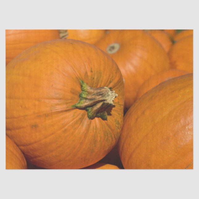 Papier Mousseline Papier papier citrouille (Recto)