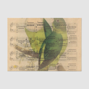 Papier Mousseline Papier peint victorien d'oiseau d'aquarelle de