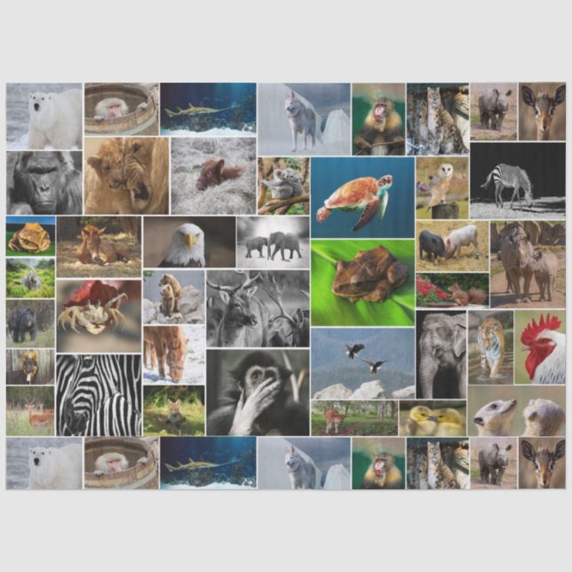 Papier Mousseline Papier sur les tissus animaux sauvages "My Animal  (Recto)