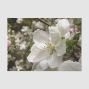 Papier Mousseline Papier Tissu Apple Blossom