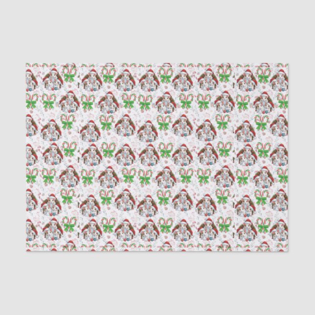 Papier Mousseline Papier Tissu Chris-Mouse (Recto)