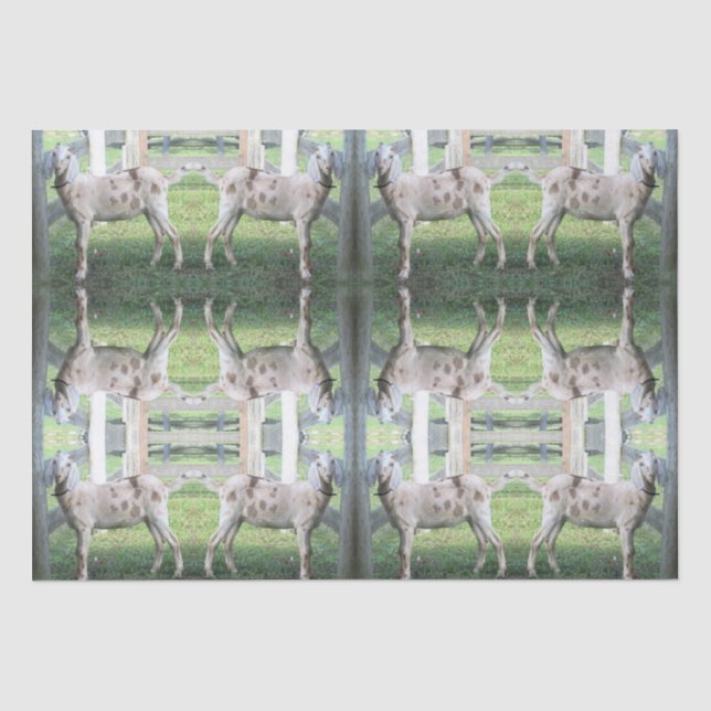 Papier Mousseline Papier Tissu De Chèvre Cute Spotted (Recto)