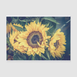 Papier Mousseline Papier Tissu Des Fleurs De Soleil