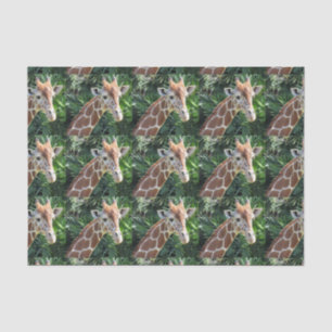 Papier Mousseline Papier Tissu Giraffe