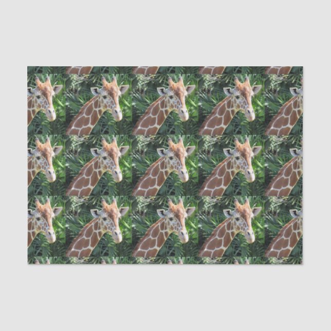 Papier Mousseline Papier Tissu Giraffe (Recto)