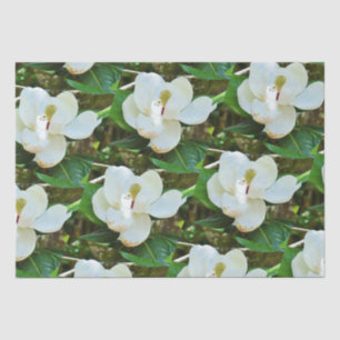 Papier Mousseline Papier Tissu Magnolia Blossoms