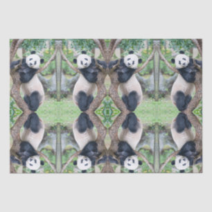 Papier Mousseline Papier Tissu Panda Géant / Papier Découpage