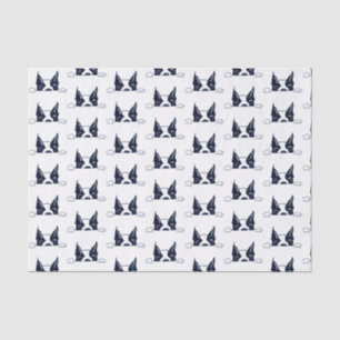 Papier Mousseline Papier Tissu Peekaboo