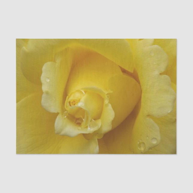 Papier Mousseline Papier Tissu Rose jaune (Recto)