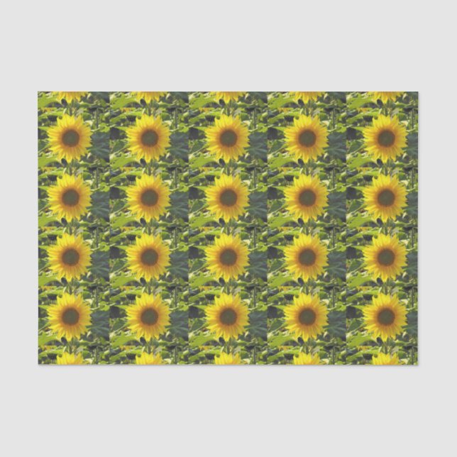 Papier Mousseline Papier Tissu Sunny Gold (Recto)