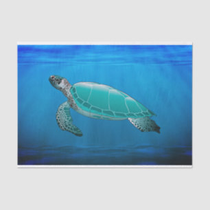 Papier Mousseline Papier Tissu Tortue