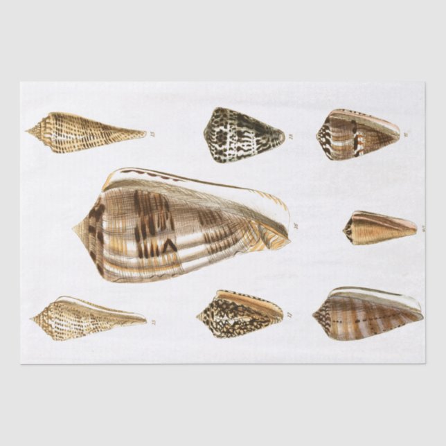 Papier Mousseline Papier Tissu vintage (Recto)