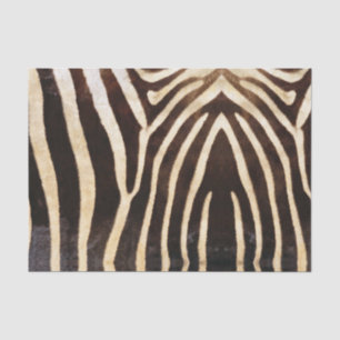 Papier Mousseline Papier Tissu Zebra Skin