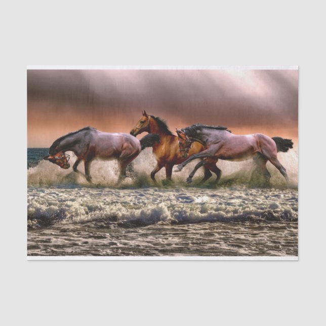 Papier Mousseline Papier tissulaire pour chevaux (Recto)