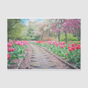 Papier Mousseline Papier Tissus Tulip Path pittoresque