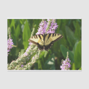 Papier Mousseline Papillon à queue d'hirondelle sur des fleurs sauva