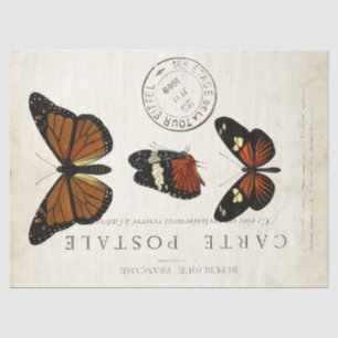 Papier Mousseline Papillon Carte Postale Vintage française Découpage