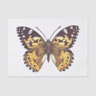 Papier Mousseline Papillon de femme peint
