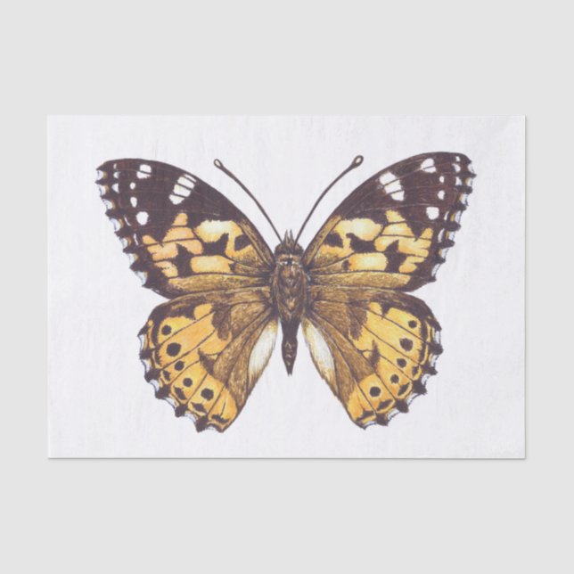 Papier Mousseline Papillon de femme peint (Recto)
