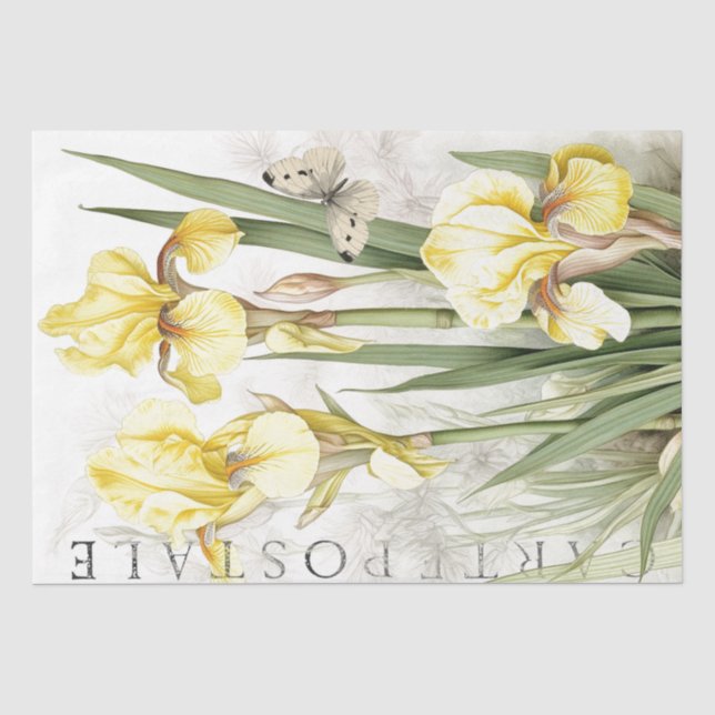 Papier Mousseline Papillon Fleur Iris Jaune Découpage Française (Recto)
