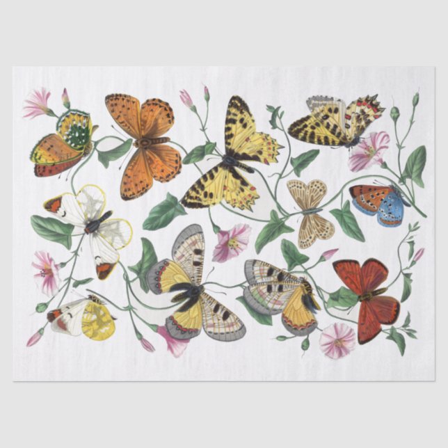 Papier Mousseline Papillon jaune Matin Gloire Fleur Découpage (Recto)