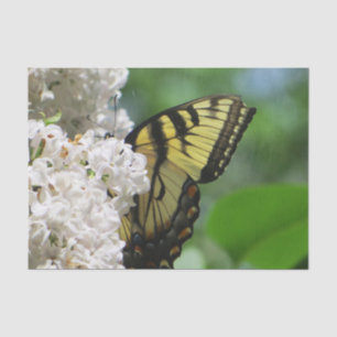 Papier Mousseline Papillon jaune sur les lilas blancs
